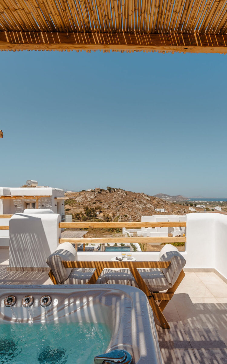 Aristocratic_exterior-29